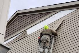 Best Siding Painting and Refinishing  in Jonestown, PA